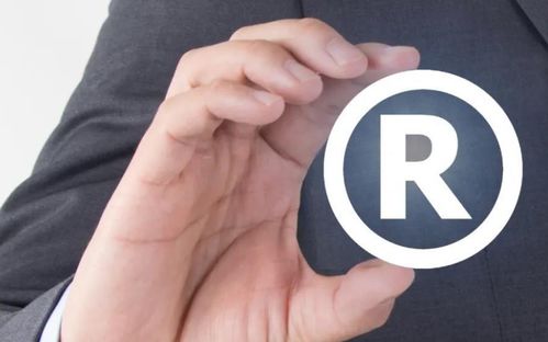 商標(biāo)申請(qǐng)被駁回的原因及應(yīng)對(duì)策略